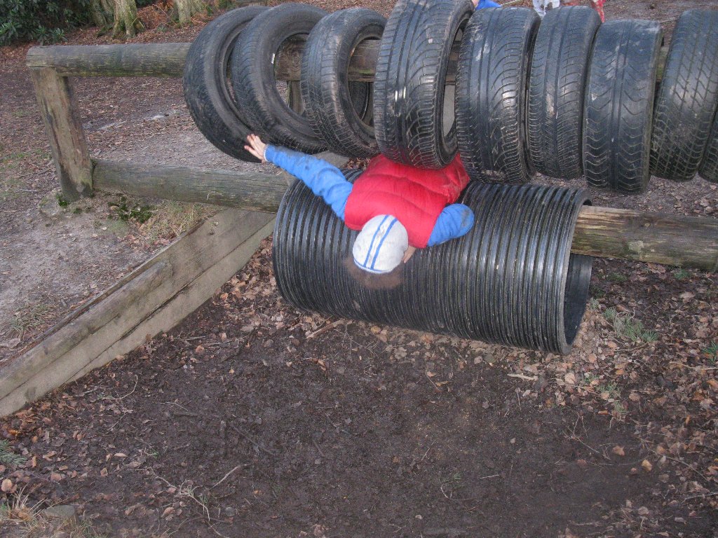 Down in the mud   11